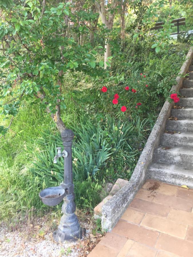 Green B&B Urbino Ca Del Vento Eksteriør billede