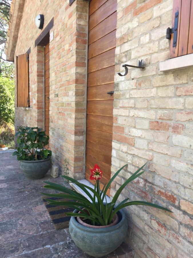 Green B&B Urbino Ca Del Vento Eksteriør billede